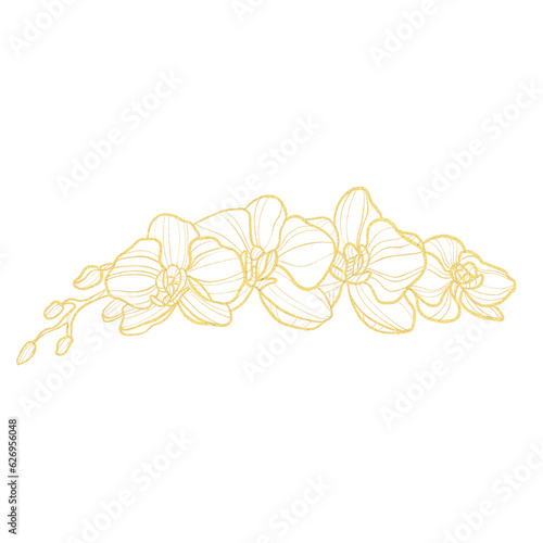 gold outline orchid flower isolated on white background