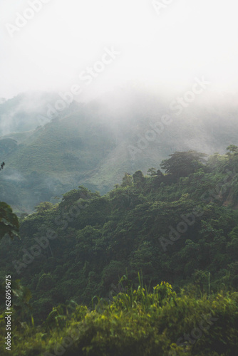 Rainforest view in Ecuador