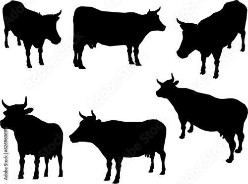 Vector sketch illustration of cartoon fat cow farm animal with lots of meat © nur
