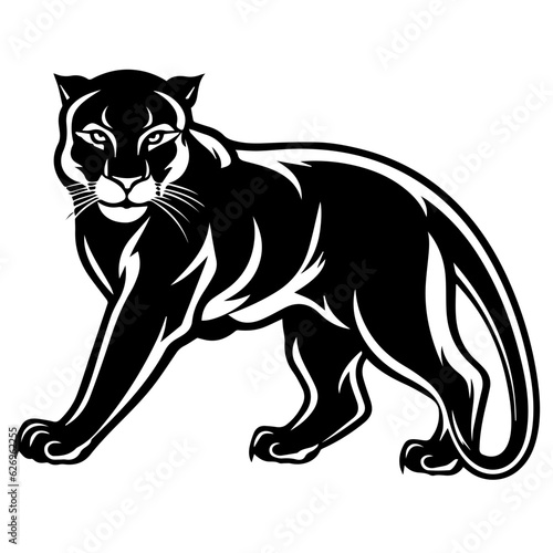 panther vector illustration