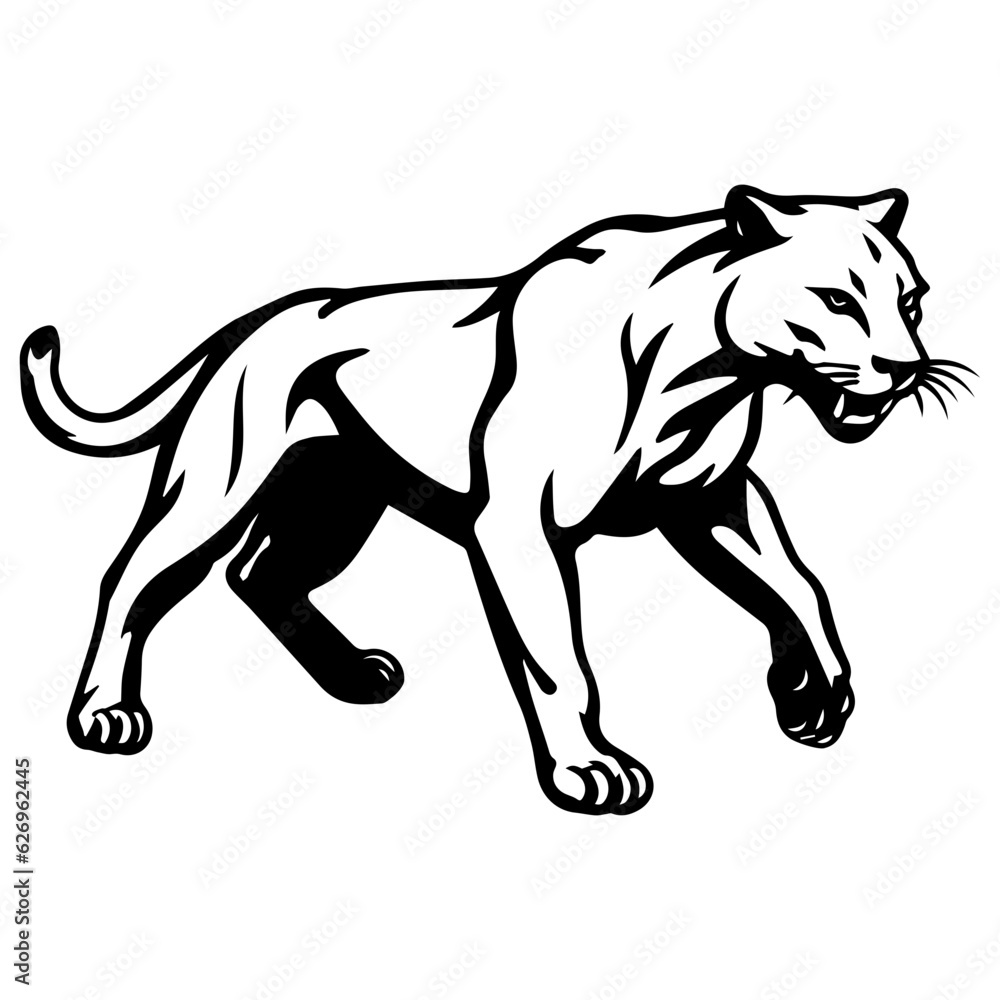 panther vector illustration panther vector illustration