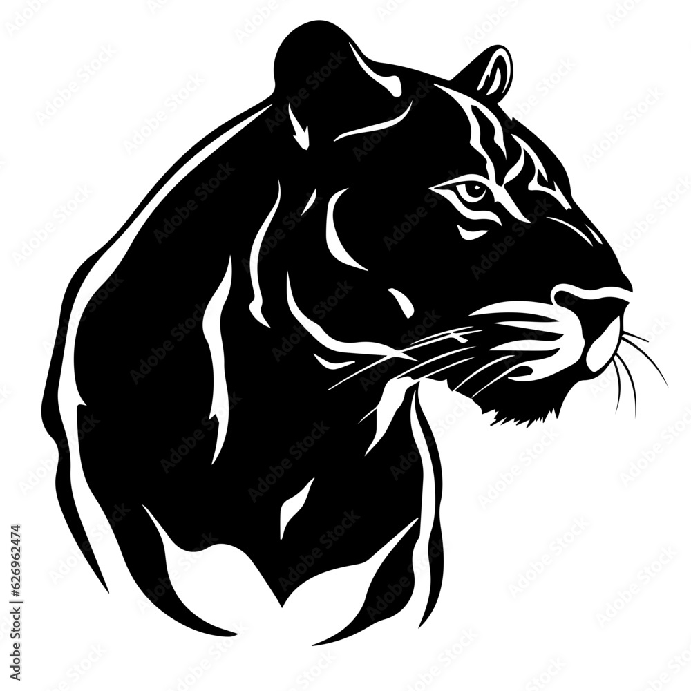 panther vector illustration