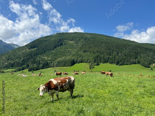 Summer landscape with mountains forests and cloudy sky in Alpes. Austria. Tranquility. Beauty and tranquility in farming. Natural and healthy living in a village. 