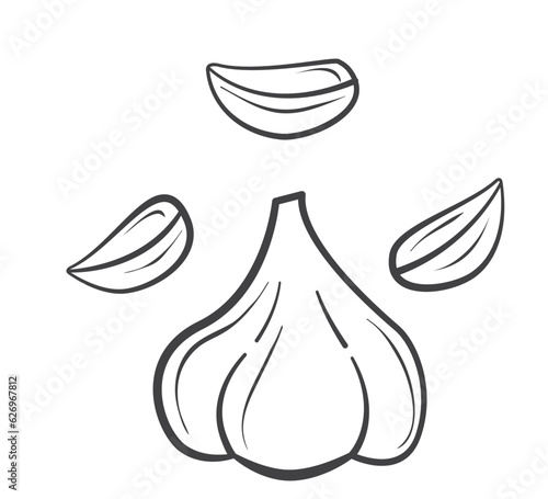 Garlic outline.Farm market product.Hand drawn vector illustration sketch.Organic agriculture.Garlic for menu, icon.Garlic clove.Isolated on white background.