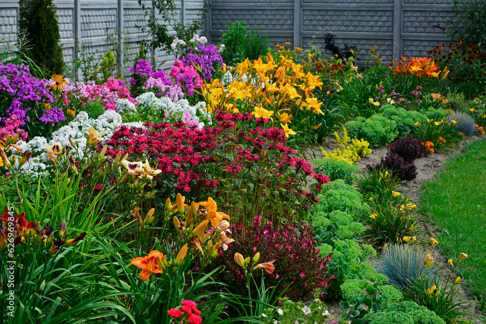 Pysznogłówka szkarłatna, liliowce i floksy wiechowate w ogrodzie (Monarda didyma, Hemerocallis i Phlox paniculata), ogród kwiatowy, ogród z kwitnącymi byliami, colorful flower bed,	
 - obrazy, fototapety, plakaty 