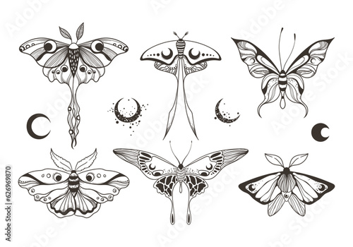 Mystical celestial moth and butterfly clipart bundle, magic black and white insects silhouettes in vector, unreal hand drawn night moth, isolated elements set photo