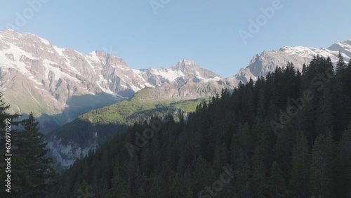 Aerial drone view of forest and snow capped mountains in the distance