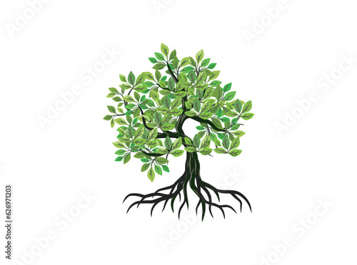 Slika na platnu mangrove tree and roots