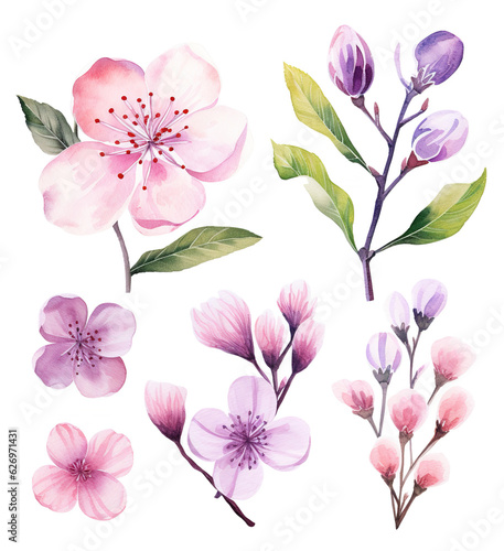 set collection of flowers watercolor