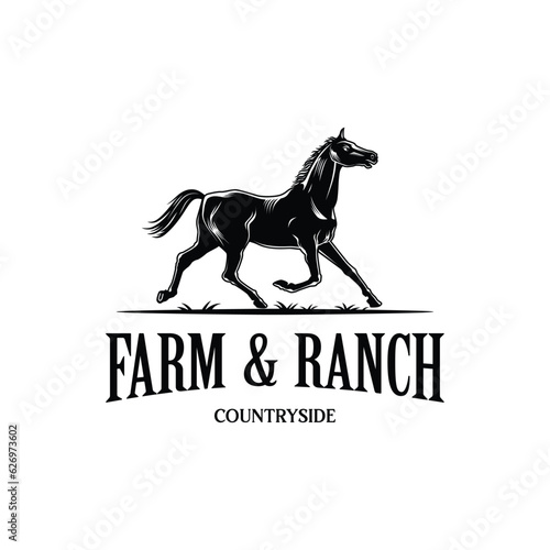 Horse Logo Design. Race Horse logo Inspiration Vector