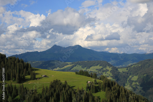 Green mountain meadow and view of Mount Gifer and Lauenehore.
