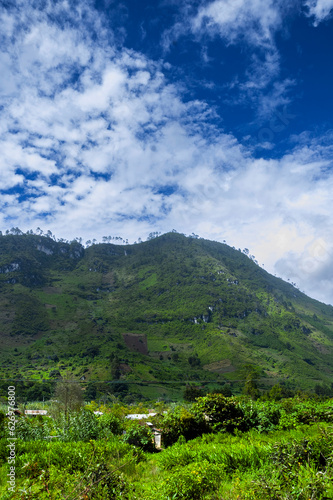 Panoramic view mountains in Guatemala  area of las verapaces in central america  source of oxygen and fresh water.