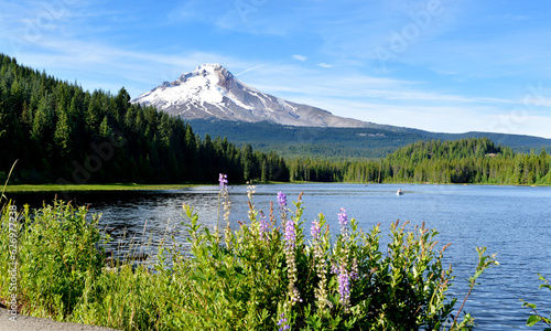 mirror lake, Mount Hood a potentially active stratovolcano near portland , oregon, usa, Glaciers and snowfields cover most of  mountain, Mount Hood is within the Mount Hood National Forest