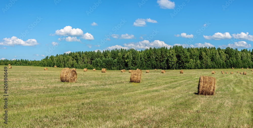 haystacks in the meadow
