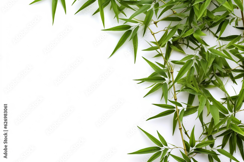Fototapeta premium Bamboo and leaf on white background.Generative Ai.