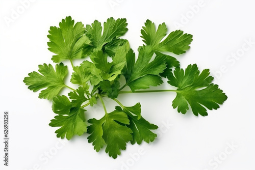 Coriander leaves isolated on white background.Generative Ai.