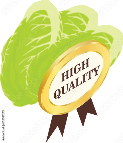 Chinese cabbage icon isometric vector. Organic cabbage and high quality sign. Quality concept, food, organic product