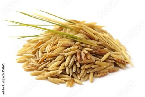 Paddy rice isolated on white background.Generative Ai.