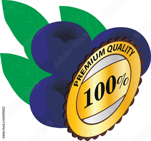 Organic blueberry icon isometric vector. Ripe blueberry and premium quality sign. Quality concept, food, organic berry
