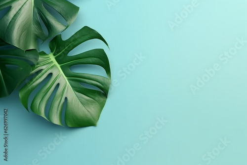 Monstera leaves on green pastel minimal background.Generative Ai.