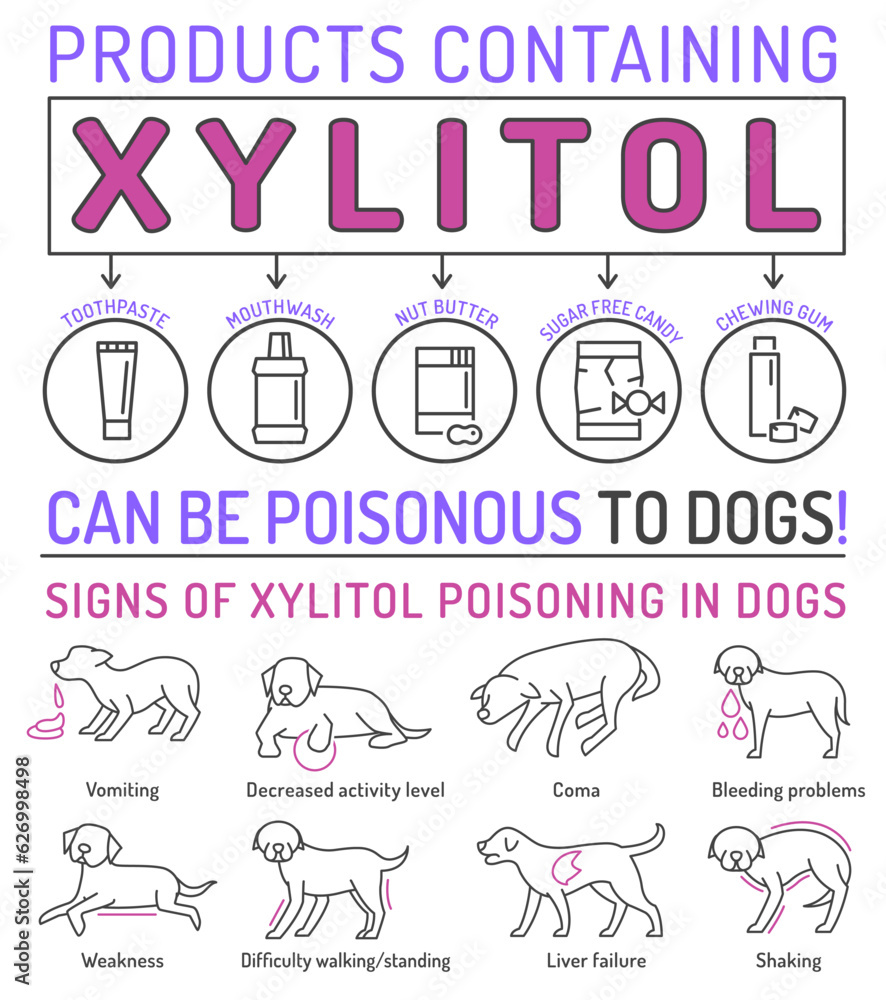 Signs of xylitol poisoning in dogs. Editable vector illustration Signs of xylitol poisoning in dogs. Editable vector illustration