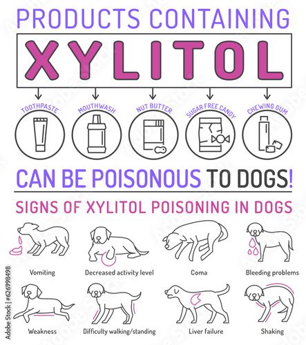 Signs of xylitol poisoning in dogs. Editable vector illustration