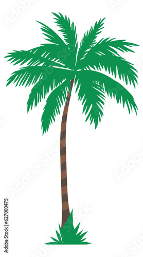 Tree palms cartoons vector illustration graphic design