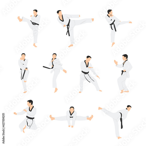 Taekwondo sport character set. Flat vector illustration isolated on white background