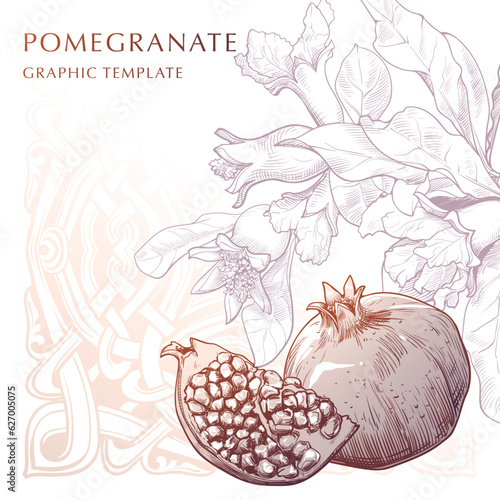 Pomegranate fruit and leaves with a traditional Georgian ornament on the background. Decorative background. Sketch style drawing isolated on white background. EPS10 vector illustration.