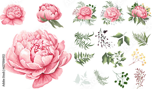 Large vector floral set. Separate flowers of pink peonies isolated on white background. Plants, leaves and berries. Compositions of flowers, plants and berries. Set of elements for wedding design
