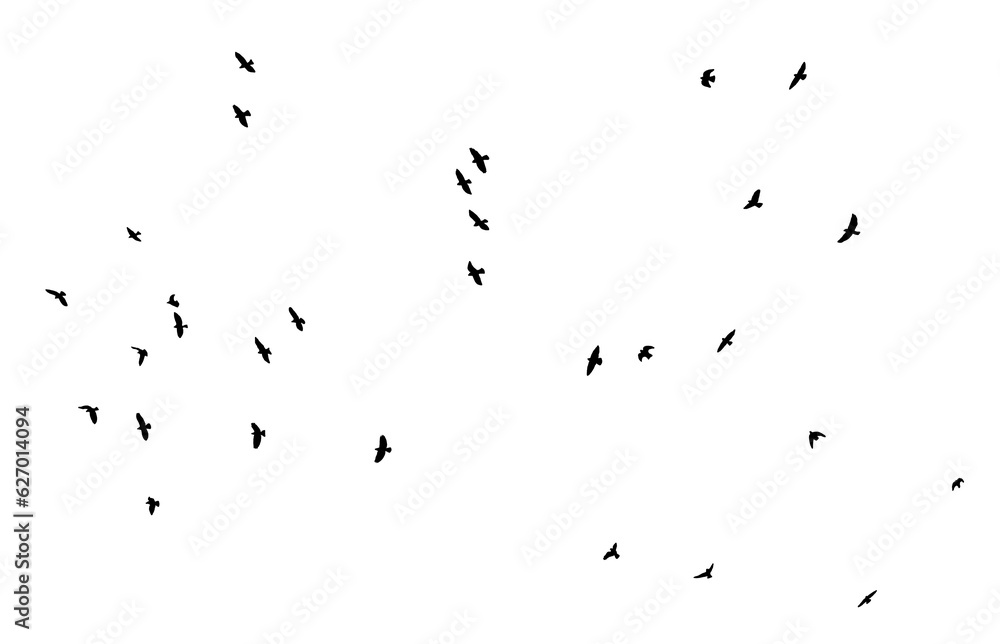 png flock of pigeon birds flying on clear background png flock of pigeon birds flying on clear background