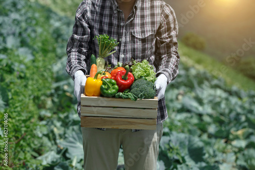 Male organic farmer standing in a vegetable field holding a wooden box of beautiful freshly picked vegetables, Organic vegetables and healthy lifestyle concept.
