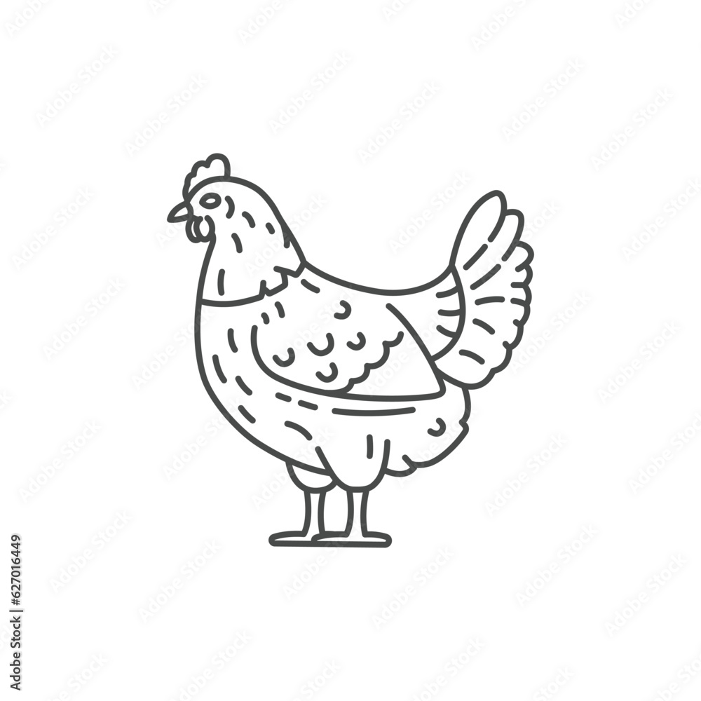 Farm animal hen line icon design. Chicken illustration. Domestic animal icon vector editable stroke. Hen line icon.