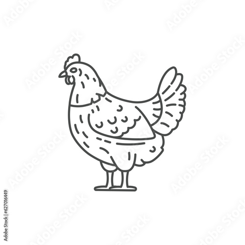 Farm animal hen line icon design. Chicken illustration. Domestic animal icon vector editable stroke. Hen line icon.
