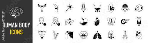 Organs icons. Human body vector illustration include icon - muscle, liver, stomach, kidney, urinary, eyeball, bone, lung, neuron pictogram for human anatomy.