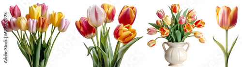 Set of colorful tulips/flowers. Bouquet of colorful tulips in a white vase. Colorful tulip close up. Isolated on a transparent background. KI. #627020225