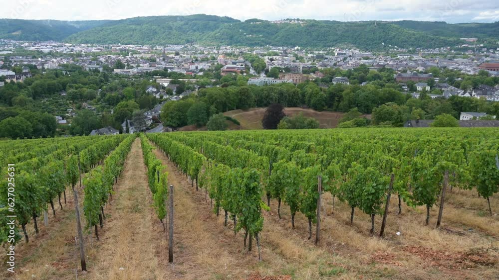 Vineyard with view of the ancient roman city of Trier, the Moselle Valley in Germany, landscape in rhineland palatine
Vineyard with view of the ancient roman city of Trier, the Moselle Valley in Germany, landscape in rhineland palatine