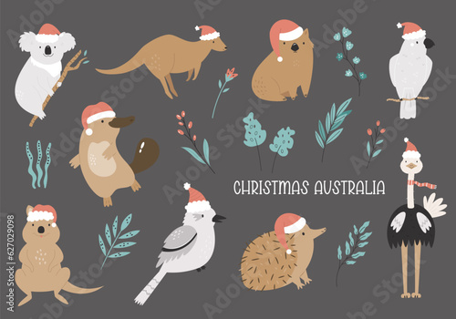 Set of hand drawn australian animals in Christmas santa hats - koala, ostrich, kangaroo, platypus,echidna