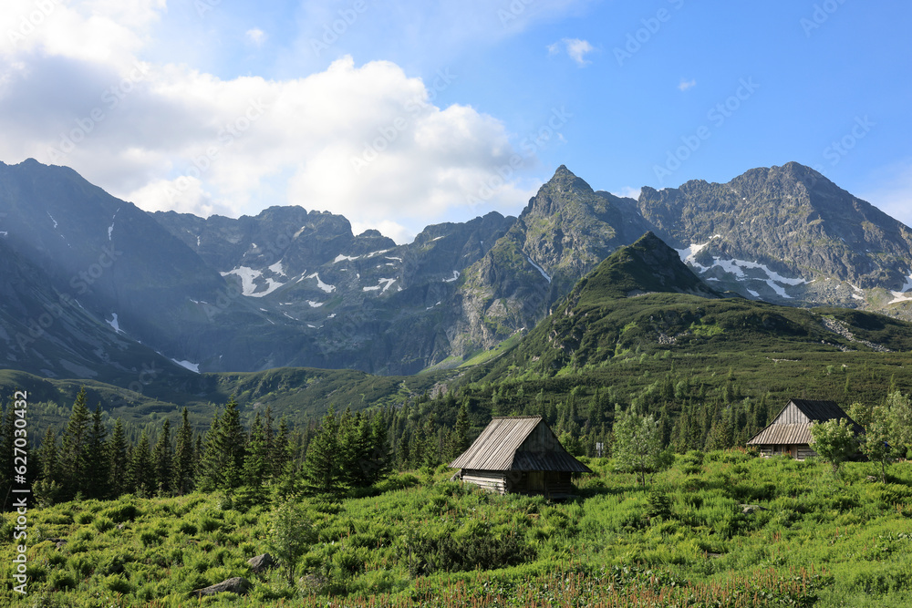 Scenic view from the Valley of the Polish Tatras to the mountain range. The mountains in summer are surrounded by green vegetation.