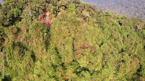 Vue aérienne du parc forestier et montagneux naturel à Ninh Binh au Vietnam, forêt tropicale verdoyante et paysage karstique avec rizières et fleuve, tourisme écologique et culturel dans la baie d’Hal photo