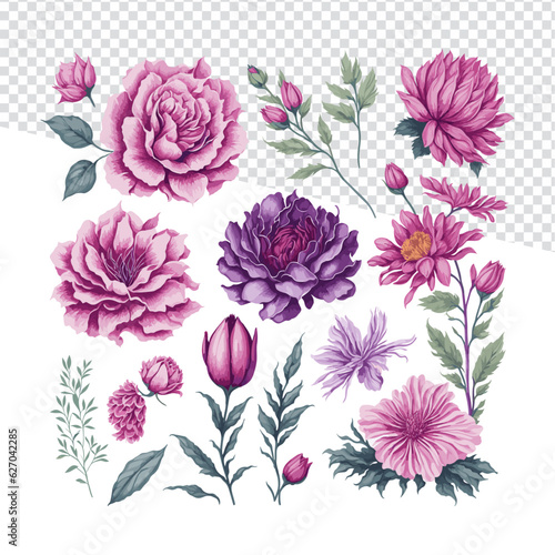 Elegant Watercolor Pink Florals: Set Collection Vector Illustration of a Pink Flower & Rose, Perfect for T-Shirt Prints & Templates