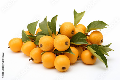 loquat on a white background