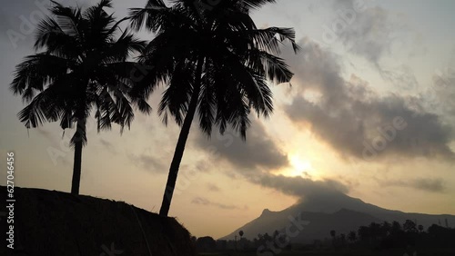 Arunachala hill during sunrise with two palm trees on the foreground photo