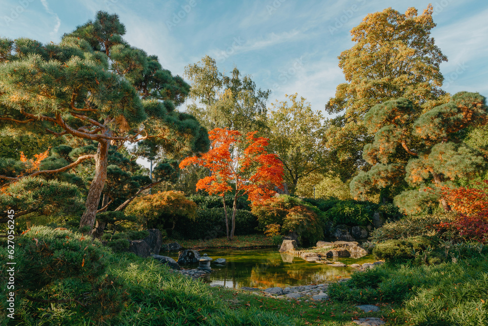 Beautiful Japanese Garden and red trees at autumn seson. A burst of fall color with pond reflections. Beautiful Japanese Garden and red trees at autumn seson. A burst of fall color with pond reflections.