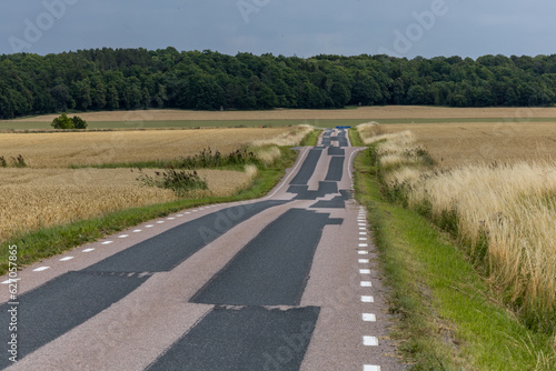 Strangnas  Sweden A rolling rural country road with wheat fields.