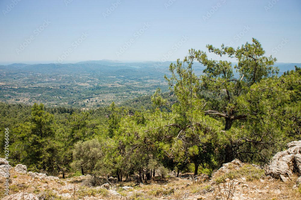 View from mountain Profitis Ilias to down below Gadoura Dam, pine forests and olive groves. Shot in June 2023 island of Rhodes in Greece, Europe. Before the wildfire.