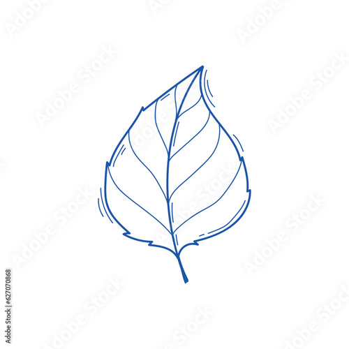 Vector illustration of birch leaf in doodle style, sketch line art isolated on white background