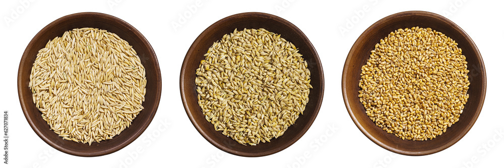 Bowls of oats, barley and wheat grains isolated above Bowls of oats, barley and wheat grains isolated above