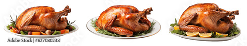 Thanksgiving turkey isolated on transparent white background photo