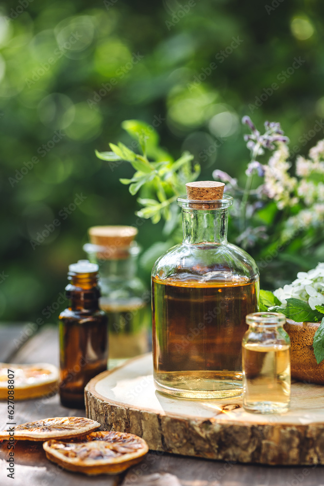 Concept of alternative herbal medicine. Bottles of tincture or potion, organic essential oils, dry healthy herbs, floral extracts on wooden table. Pure natural ingredients for cosmetic production Concept of alternative herbal medicine. Bottles of tincture or potion, organic essential oils, dry healthy herbs, floral extracts on wooden table. Pure natural ingredients for cosmetic production